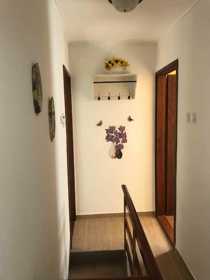 Apartma Evi Zaga المظهر الخارجي الصورة